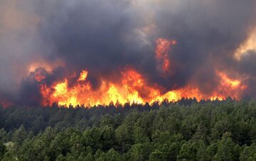 منابع طبیعی مازندران نسبت به احتمال آتش‌سوزی در جنگل‌ها هشدار داد
