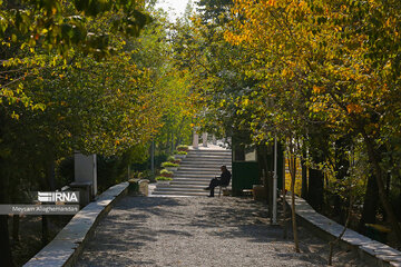 Colorful autumn and its beauties in Tehran