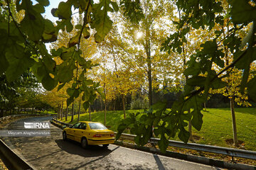 Colorful autumn and its beauties in Tehran