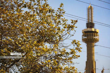 Colorful autumn and its beauties in Tehran