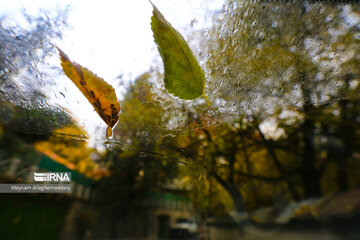 Colorful autumn and its beauties in Tehran