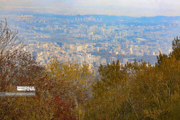 Colorful autumn and its beauties in Tehran