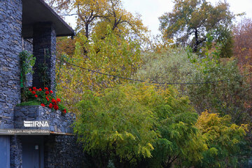 Colorful autumn and its beauties in Tehran