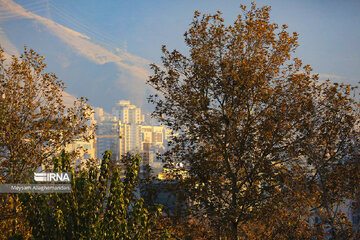 Colorful autumn and its beauties in Tehran