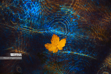 Colorful autumn and its beauties in Tehran