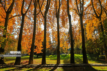 Colorful autumn and its beauties in Tehran