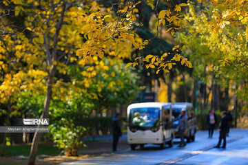 Colorful autumn and its beauties in Tehran