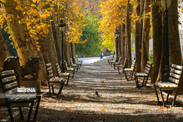 Colorful autumn and its beauties in Tehran