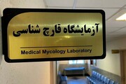 نخستین آزمایشگاه تخصصی قارچ‌شناسی پزشکی در استان اردبیل راه‌اندازی شد