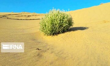 سنگینی کفه بیابان زایی بر بیابان زدایی در همدان