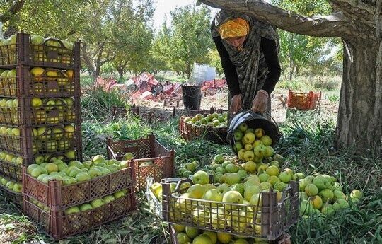  مرا به هیچ فروختند