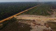 بانک‌های فرانسوی به تامین مالی طرح‌های جنگل‌زدایی در آمازون متهم شدند