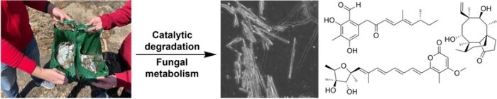 بازیافت ضایعات پلیاتیلن به محصولات متابولیک مفید برای داروسازی