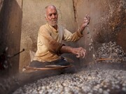 «پرورش کرم ابریشم و تولید سنتی ابریشم برای بافندگی» ثبت جهانی شد
