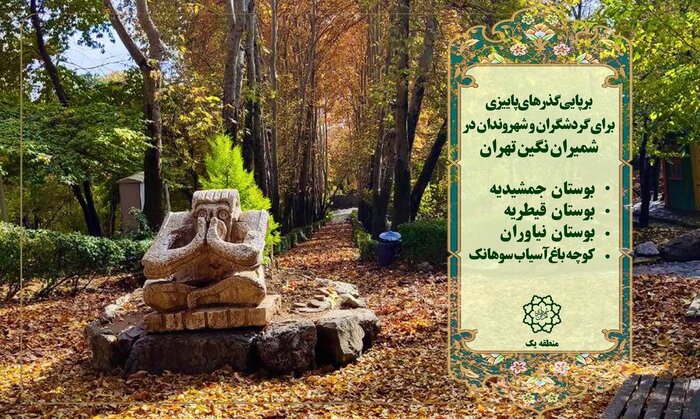  برگ های زرد پاییزی زیر پای شهروندان در بوستان های شمیران