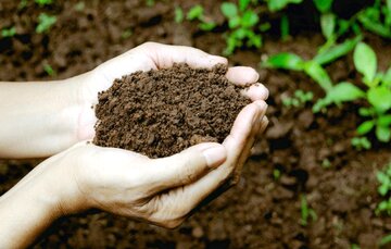 کاهش آلودگی خاک با استفاده از سموم و کودهای دوستدار محیط زیست