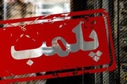 دستگاه رادیولوژی غیر مجاز در کلینیک دامپزشکی زنجان پلمب شد
