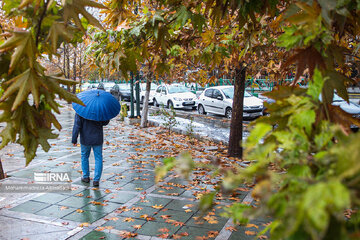 بارش باران و کاهش دما در نوار شمالی/ وزش باد و بارش‌های پراکنده در پایتخت از چهارشنبه