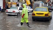 فیلم | معابر شهر بوشهر در روز بارندگی