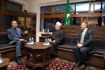 امیرعبداللهیان با رئیس العلمای جامعه اسلامی بوسنی و هرزگوین دیدار کرد