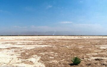 ستاد ملی مدیریت گرد و غبار وضعیت تالاب صالحیه البرز را بررسی می کند
