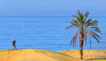 جشن سبز در سرزمین نخل و آفتاب