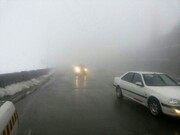 مه غلیظ در گردنه اسدلی خراسان شمالی تردد خودروها را کند کرد