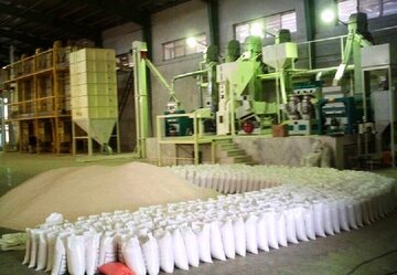 استاندار مازندران: خریداری ۵۰ هزارتن برنج تولیدی کشاورزان استان در دستور کار دولت قرار گرفت