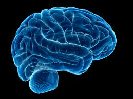 آیا میتوان خاطرات ترسناک را کمرنگ کرد؟