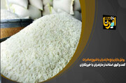 فیلم | رونق بازار برنج مازندران با شروع صادرات