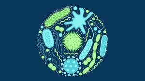 ردیابی گسترش جهانی مقاومت باکتری‌ها در برابر آنتی‌بیوتیک 