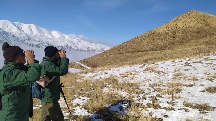 آغاز سرشماری حیات وحش مناطق حفاظت شده جنوب استان اردبیل