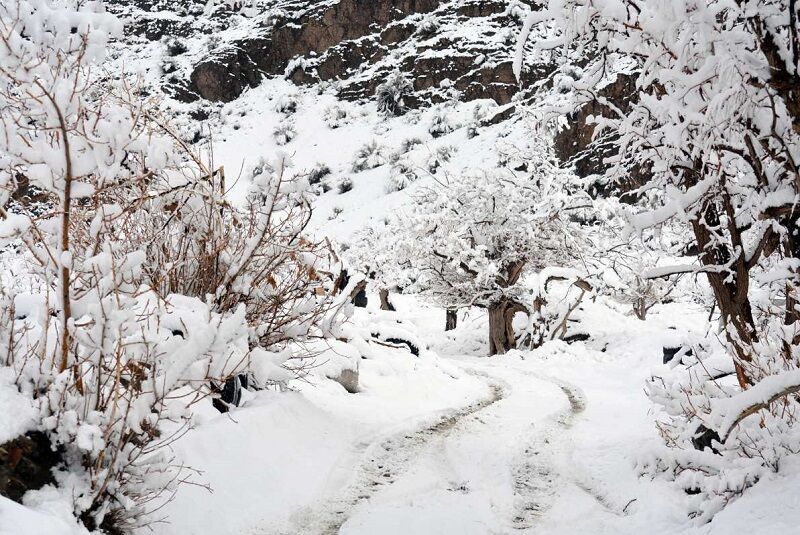 ارتفاع برف در خراسان جنوبی به ۲۰ سانتیمتر رسید ارتفاع برف در خراسان جنوبی به ۲۰ سانتیمتر رسید