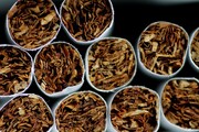 امسال بالغ بر ۱۶ هزار پاکت محصولات دخانی قاچاق در گیلان کشف شد