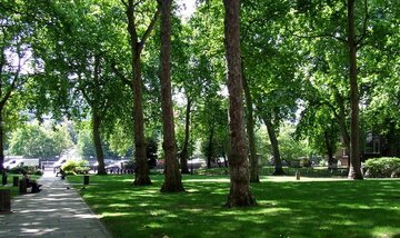 اهتمام شهرداری تبریز برای افزایش سرانه فضای سبز به ۱۸ مترمربع 