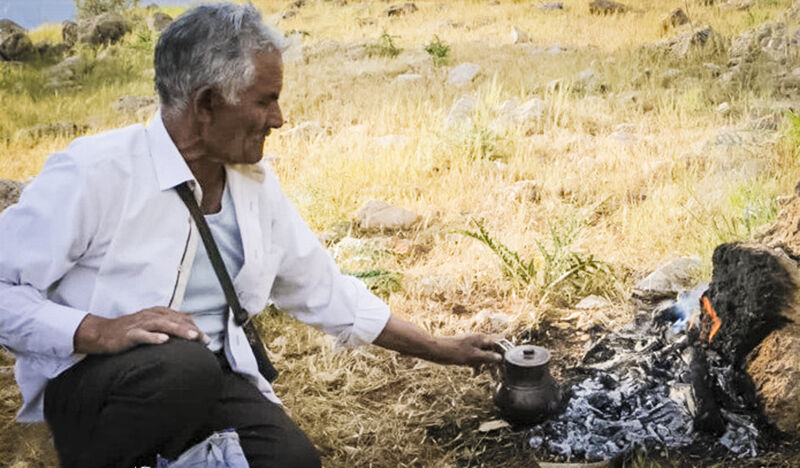 «کوهستان بی‌صدا»؛ قصه پیرمردی که هرگز به سینما نرفته بود