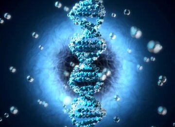 فناوری جدید نقاط ضعف تکاملی ژنوم انسان را مشخص می‌کند