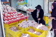 تولید هفتگی ۴۰ هزار تن گوشت مرغ گرانی این کالا در بازار خراسان رضوی را کنترل کرد