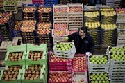 کشاورزان استان اردبیل برای صادرات محصولات باغی گواهی سلامت اخذ کنند