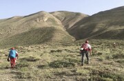 فوت یک طبیعت گرد در ارتفاعات البرز 