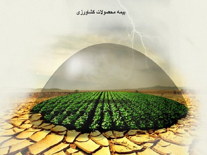 اقدام هایی برای کاهش اثرات کم بارشی بر کشاورزی کهگیلویه وبویراحمد