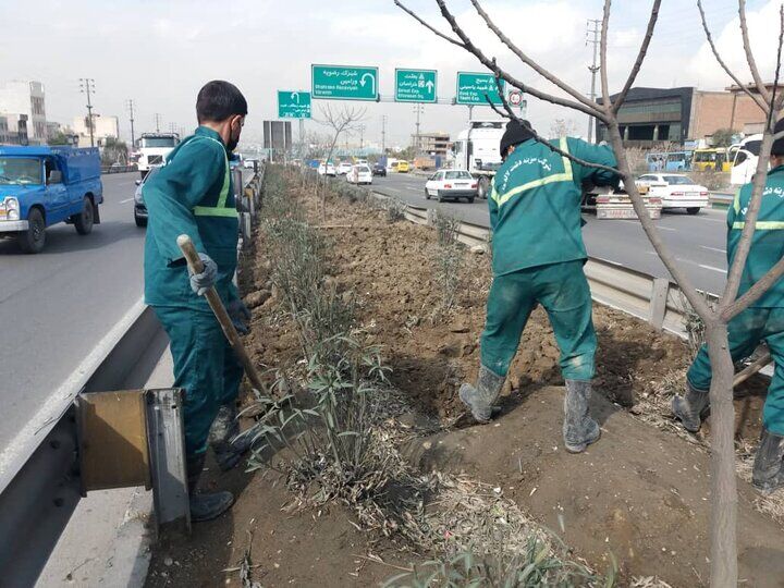 عملیات به‌زراعی در ۵۸ هکتار از فضاهای سبز شهرری انجام شد