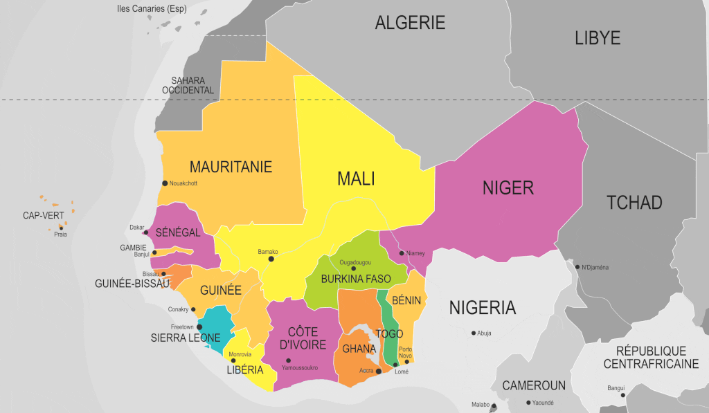 L’Afrique tourne le dos à la France et s’oriente vers les BRICS