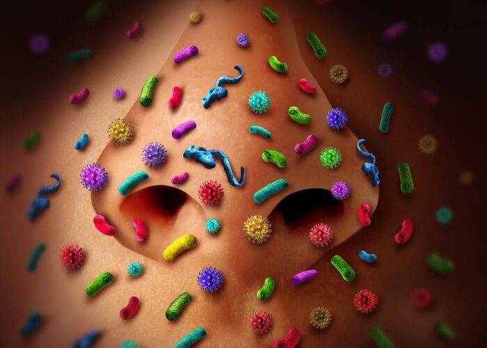 عفونت‌های ویروسی سیستم بویایی پیشرفت آلزایمر را تسریع می‌کند