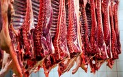 ۴۶ هزار و ۵۲۶ تن گوشت در کشتارگاه‌های استان مرکزی استحصال شد