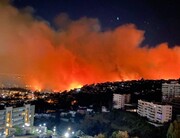 آتش سوزی گسترده در مناطق جنگلی شیلی / ۲ تن کشته و ۳۰ تن زخمی شدند