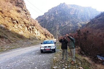 سرشماری پستانداران حیات وحش در مناطق کوهستانی سردشت پایان یافت