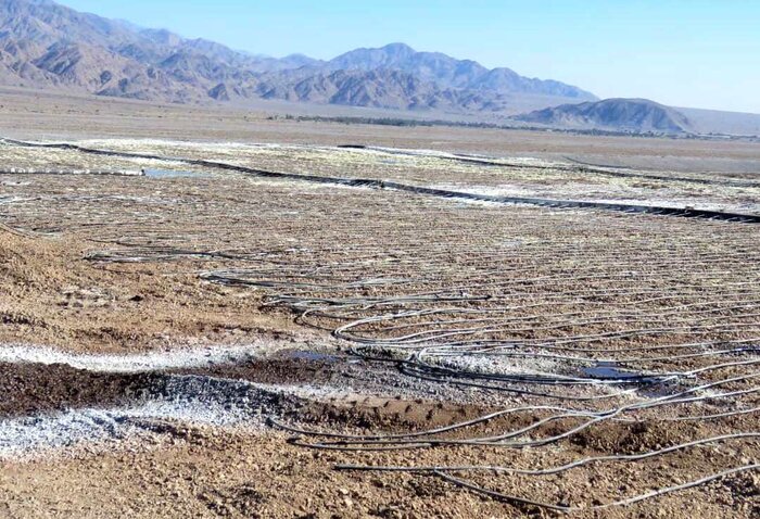 همه مخاطرات کارخانه مس جیرفت