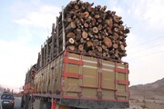 محموله ۱۲ تنی چوب قاچاق در مهاباد کشف شد