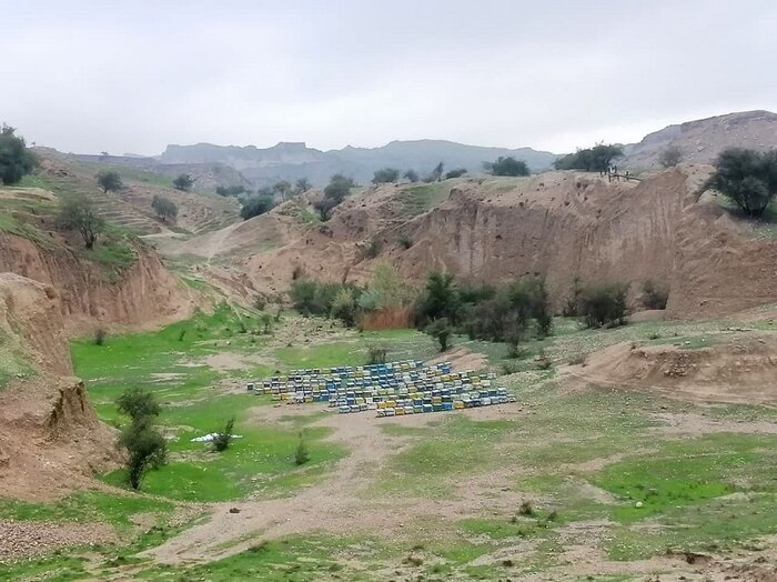 تجربه زمستان گردی در طبیعت گرمسیری گچساران